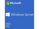 Софтуер Microsoft Windows Server CAL 2022 English 1pk DSP OEI 5 Clt User CAL