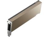 PNY A2 NVIDIA 16 GB GDDR6 passive снимка №2 PNY A2 NVIDIA 16 GB GDDR6 passive снимка №2