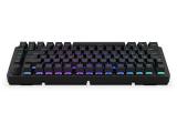Описание и цена на клавиатура за компютър ENDORFY Thock RGB 75% - Kailh Black Switch 