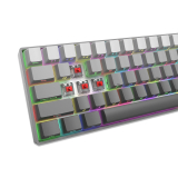 White Shark White Shark геймърска механична клавиатура Gaming Mechanical Keyboard NUNCHAKU - Red Switches (English US), Grey NUNCHAKU-G-US-RED.SW NEW снимка №6 White Shark White Shark геймърска механична клавиатура Gaming Mechanical Keyboard NUNCHAKU - Red Switches (English US), Grey NUNCHAKU-G-US-RED.SW NEW снимка №6
