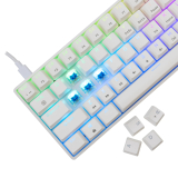 White Shark White Shark геймърска механична клавиатура Gaming Mechanical Keyboard SHINOBI 2 - YUSYA 5P Blue Switches (English US), White SHINOBI-2-W-US-BLUE.SW NEW снимка №4 White Shark White Shark геймърска механична клавиатура Gaming Mechanical Keyboard SHINOBI 2 - YUSYA 5P Blue Switches (English US), White SHINOBI-2-W-US-BLUE.SW NEW снимка №4