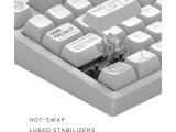 DARK PROJECT ALU81A Terra Nova R2 White RGB USB безжична мултимедийна снимка №6 DARK PROJECT ALU81A Terra Nova R2 White RGB USB безжична мултимедийна снимка №6