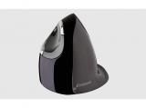 Цена за Evoluent VerticalMouse D Large Wireless VMDLW - USB