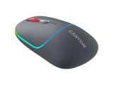 Canyon MW-22 Dual Band RGB Wireless Dark Grey (CNS-CMSW22DG) USB оптична снимка №2