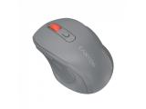 Canyon wireless mouse CNE-CMSW20DG оптична Цена и описание.