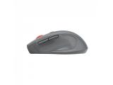 Canyon wireless mouse CNE-CMSW20DG USB оптична снимка №5