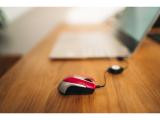 Verbatim Go Mini Optical Travel Mouse - Hot Pink retail USB оптична снимка №5 Verbatim Go Mini Optical Travel Mouse - Hot Pink retail USB оптична снимка №5