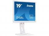Описание и цена на монитор, дисплей Iiyama ProLite B1980D-W1