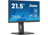 Iiyama ProLite XUB2293HS-B6  22 FHD IPS 100Hz 1ms 1920x1080 21.5 Цена и описание.