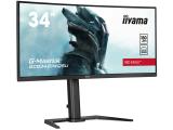 Описание и цена на монитор, дисплей Iiyama G-MASTER GCB3481WQSU-B1