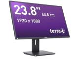 Описание и цена на монитор, дисплей Terra 2456W PV V3