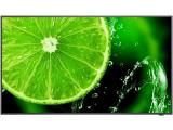 Монитор Sharp NEC MultiSync E558