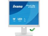 Iiyama ProLite B1980S-W1 снимка №2 Iiyama ProLite B1980S-W1 снимка №2