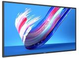 Описание и цена на монитор, дисплей Philips Q-Line 43BDL3650Q