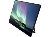 Описание и цена на монитор, дисплей Ricoh RICOH 150BW Mobiler Monitor Touchscreen 15.6" OLED Full HD NEW