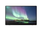 Описание и цена на монитор, дисплей Ricoh RICOH 150 Mobiler Monitor Touchscreen 15.6" OLED Full HD NEW