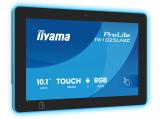 Описание и цена на монитор, дисплей IIYAMA ProLite TW1025LASC-B3PNR