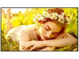 Описание и цена на монитор, дисплей LG 43UL5Q-E Signage Display