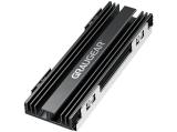 Описание и цена на охладители за твърди дискове &raquo; m.2 ssd cooling GrauGear SSD M.2 NVMe Heatsink Kit for PlayStation 5 Memory Extension retail