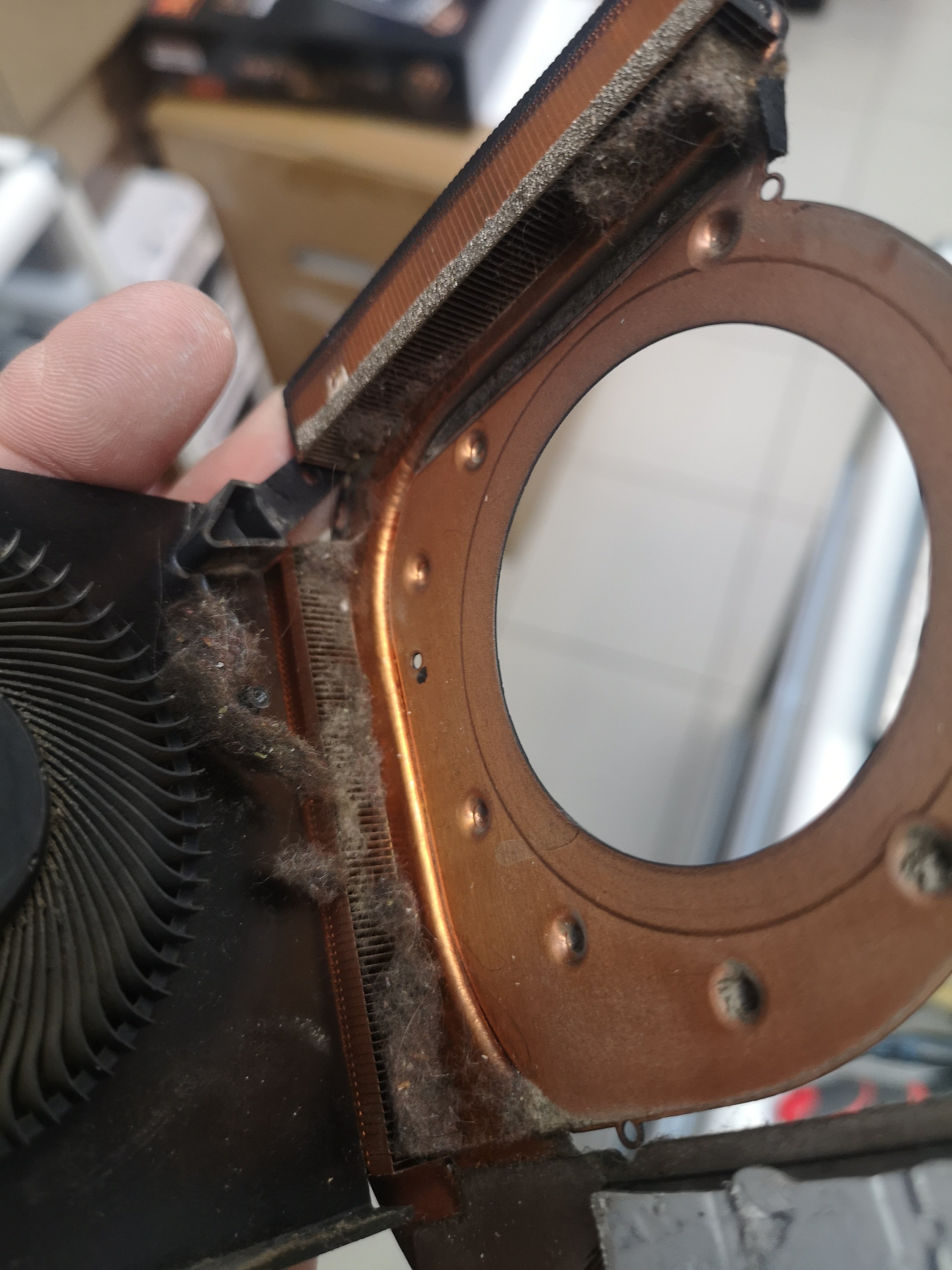 Laptop-notebook-cleaning-202505-4.jpg